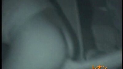टोकदार स्तनाग्र असलेला एक कट्टर आशियाई तिरंगी मध्ये घुसला आहे